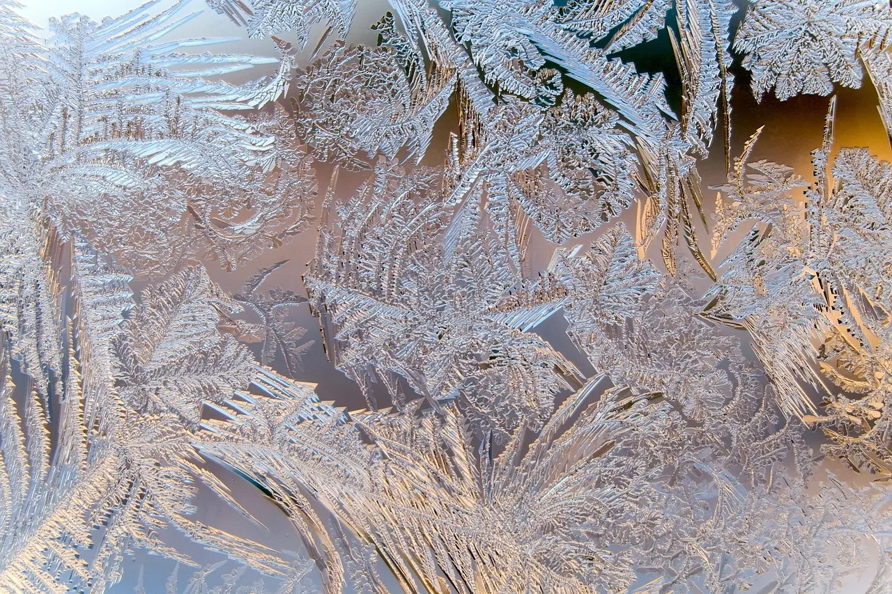 Hvornår starter Disney juleshow? Alt om datoer, billetter og julemagi